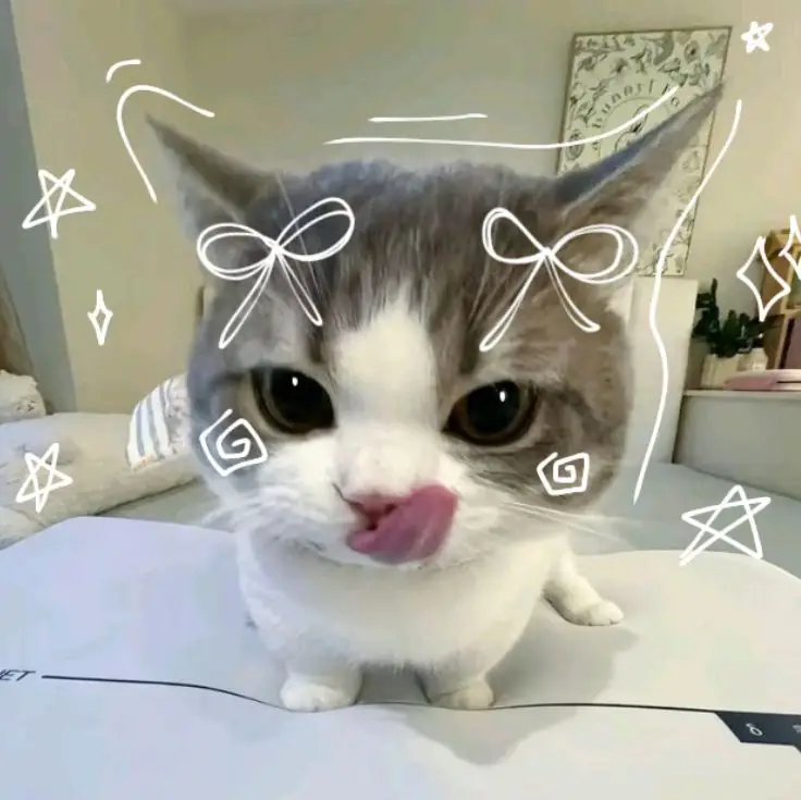 Gatito kawaii